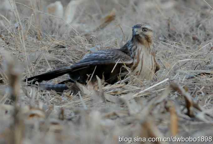 岁末再访白河峡谷