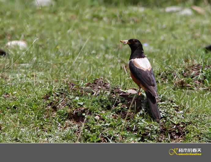 记录鈥溩乇澈谕佛粹