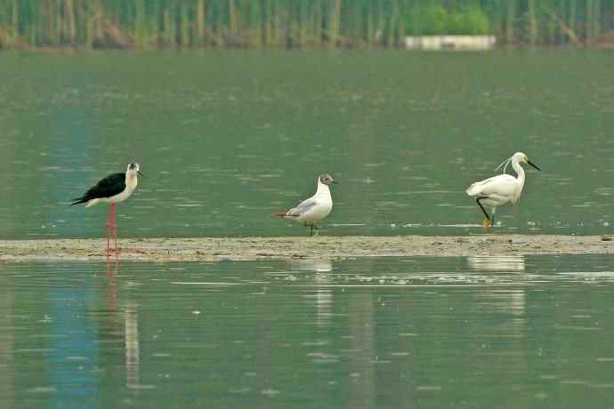 和谐 wbr wbr记录版 wbr wbr（1）