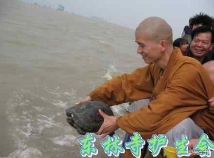 放生,为什么要如此小心翼翼