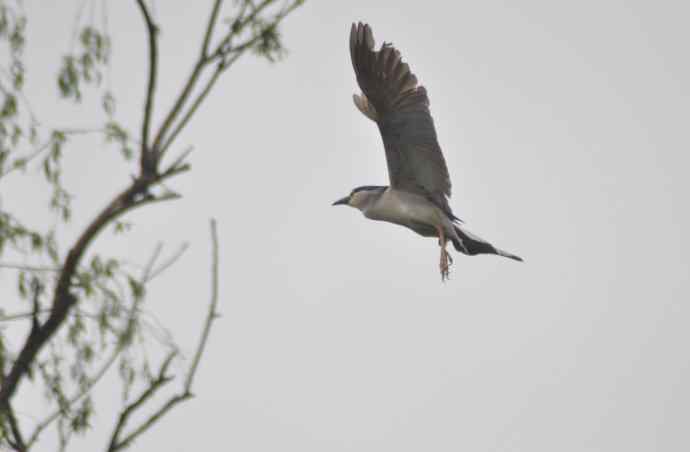 20100505当日总结 20100505当日总结