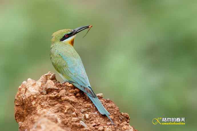 失而复得的鈥溊鹾矸浠⑩ 失而复得的鈥溊鹾矸浠⑩