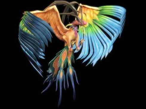 凤凰:传说的鸟 凤凰:传说的鸟