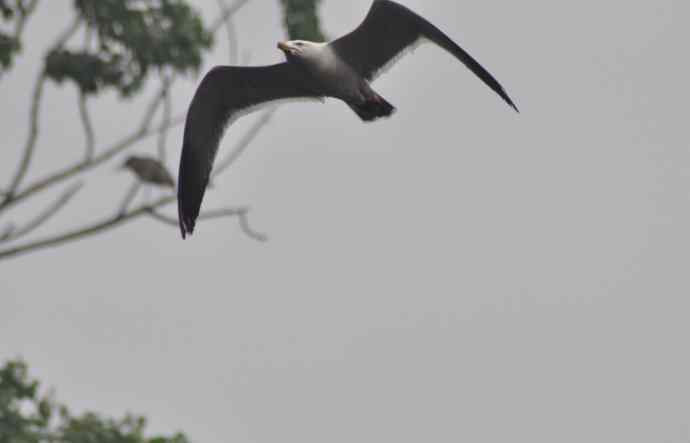 20100505当日总结 20100505当日总结