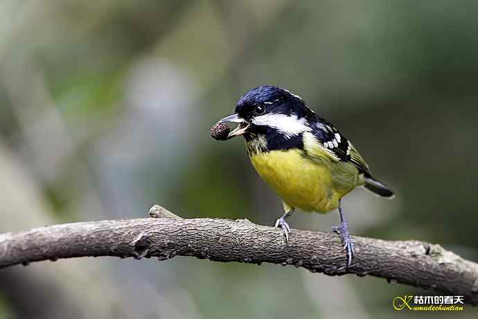 鈥溁聘股饺糕澊⒘腹