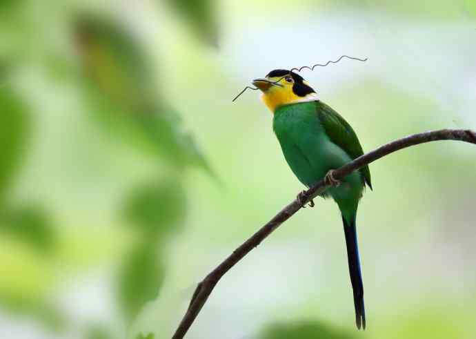 此情可待成追忆 wbr只是当时已惘然（我的阔嘴情缘）