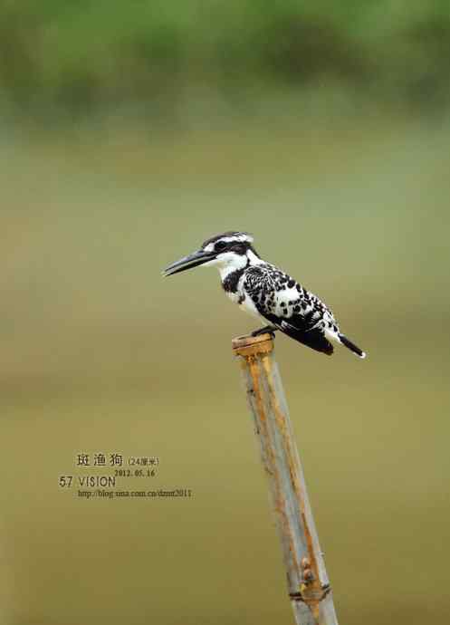 呼朋唤友鈥斺敯哂婀