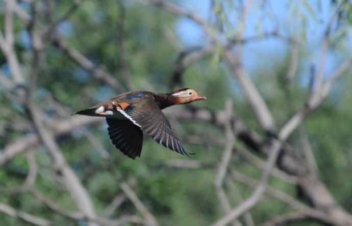 八月十六（杂片）