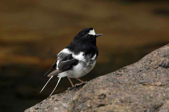 杭州老郑摄影续 杭州老郑摄影续