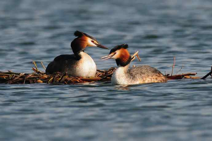 清明假日惬意的午后时光