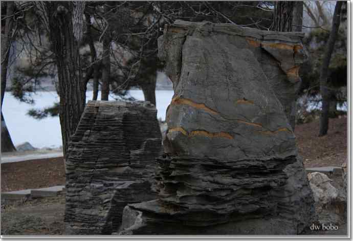 参加自然之友观鸟活动