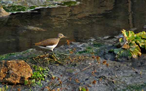 孤独的美丽（组图，17张图片）