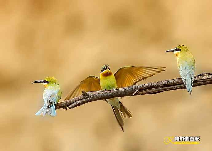 失而复得的鈥溊鹾矸浠⑩ 失而复得的鈥溊鹾矸浠⑩
