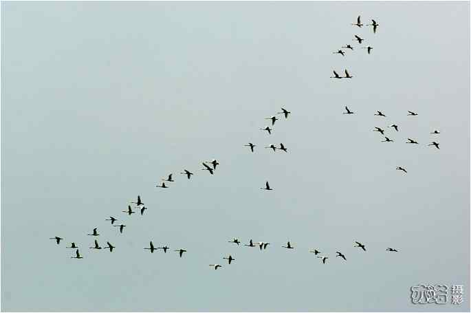  点击图片或使用键盘← →翻页