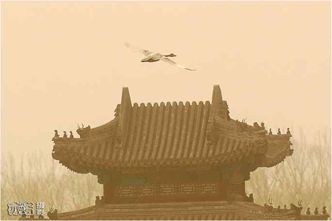  点击图片或使用键盘← →翻页