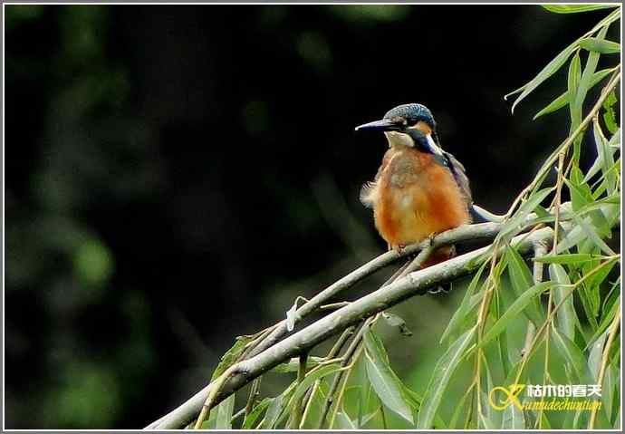鈥溞〈溻澒槔础菊掌