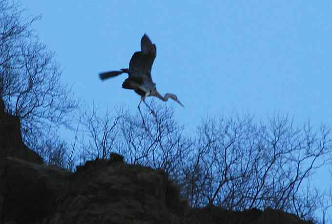 白河峡谷三月雪 白河峡谷三月雪