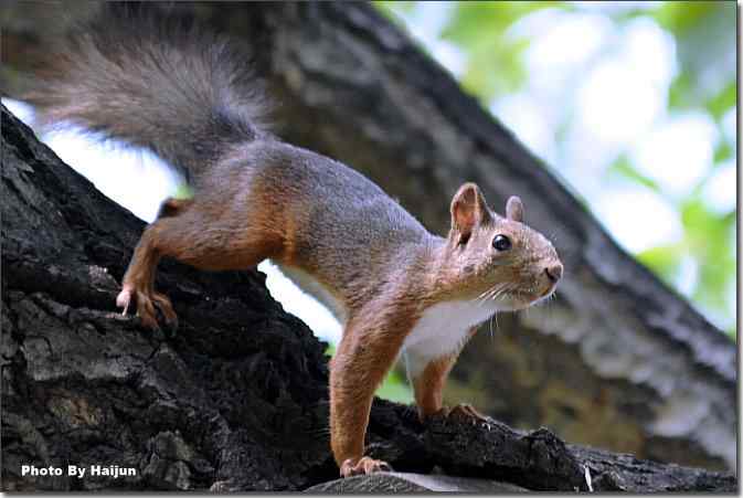  点击图片或使用键盘← →翻页