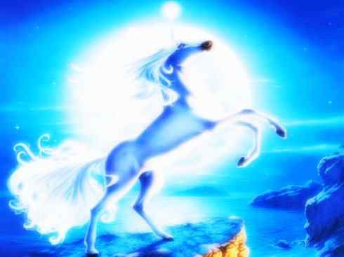 独角兽：传说的兽