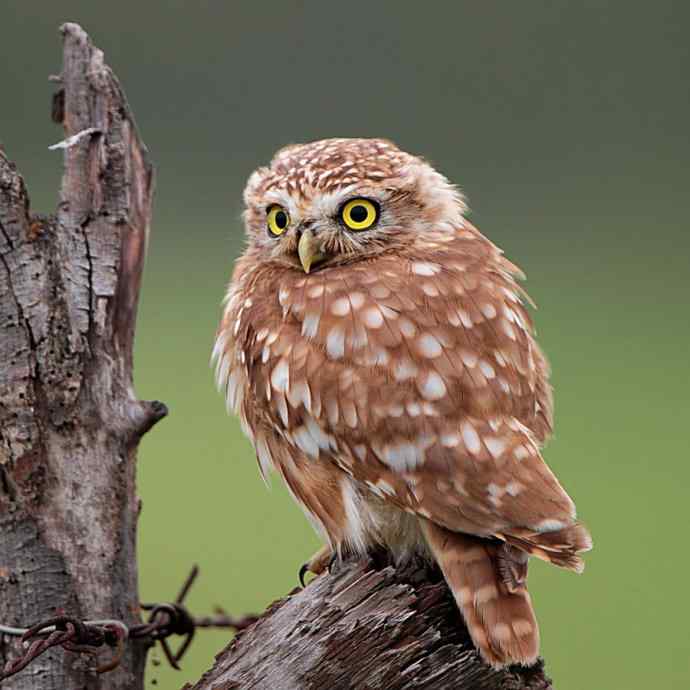 不期而遇鈥斺斪菸聘剐←^