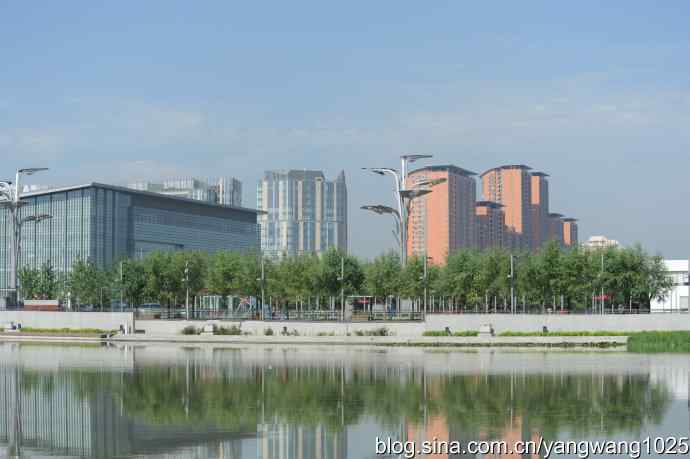 北京奥林匹克公园白鹭飞 4