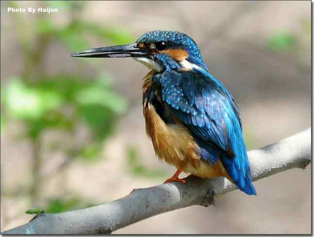  点击图片或使用键盘← →翻页