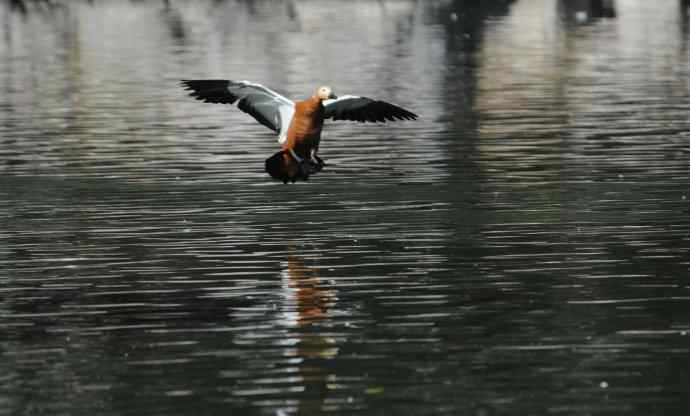 八月十六（杂片）