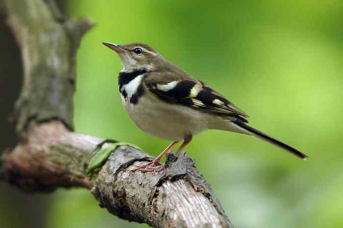 杭州老郑摄影续 杭州老郑摄影续