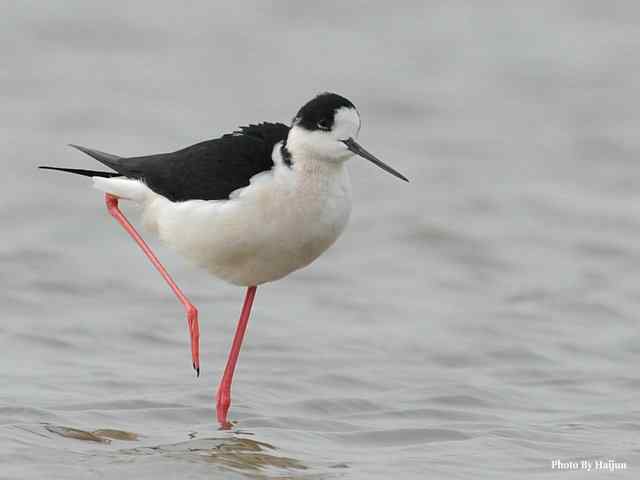 我憧憬那湾碧水 wbr. wbr我流连那片土地