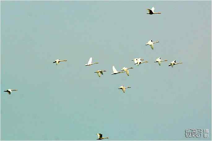  点击图片或使用键盘← →翻页