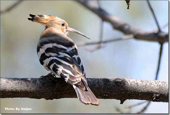  点击图片或使用键盘← →翻页