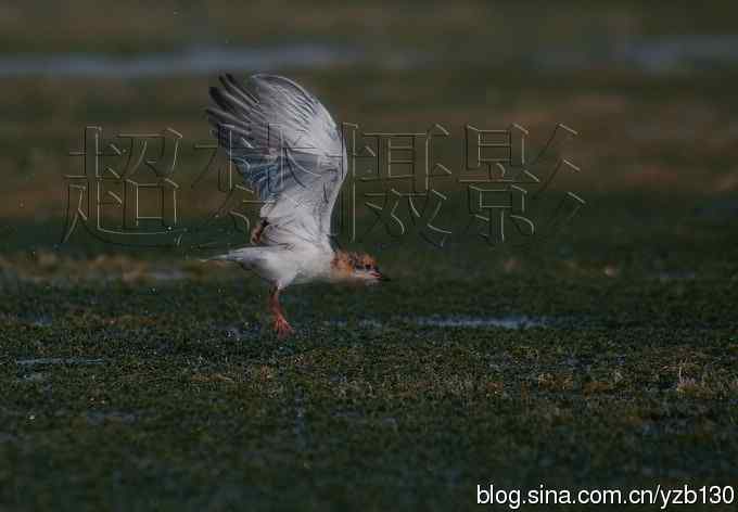 这世界，我来了！任凭风暴漩涡鈥︹Γㄗ橥迹25张图片）