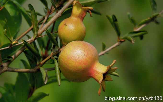 七里海周边鈥湻街酃扳澊蚰