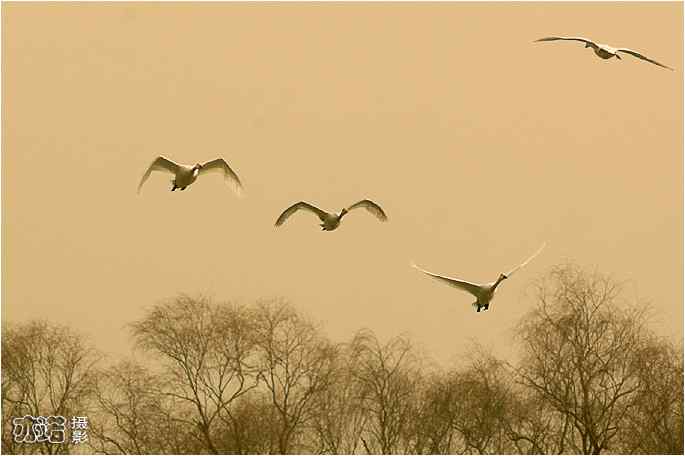  点击图片或使用键盘← →翻页