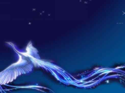 凤凰:传说的鸟 凤凰:传说的鸟