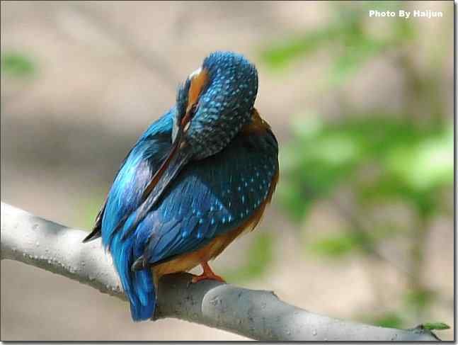  点击图片或使用键盘← →翻页