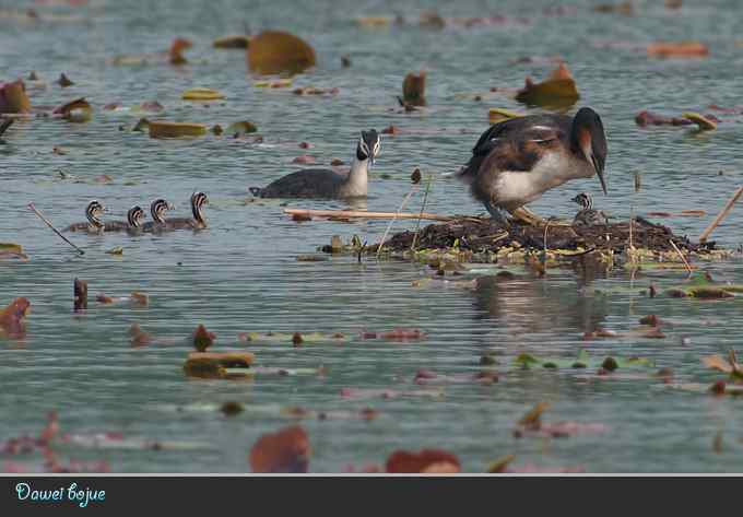 献给含辛茹苦的父母们