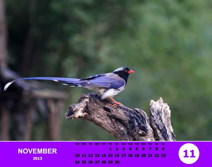 乘风追梦鈥斺斘业2012（附图）