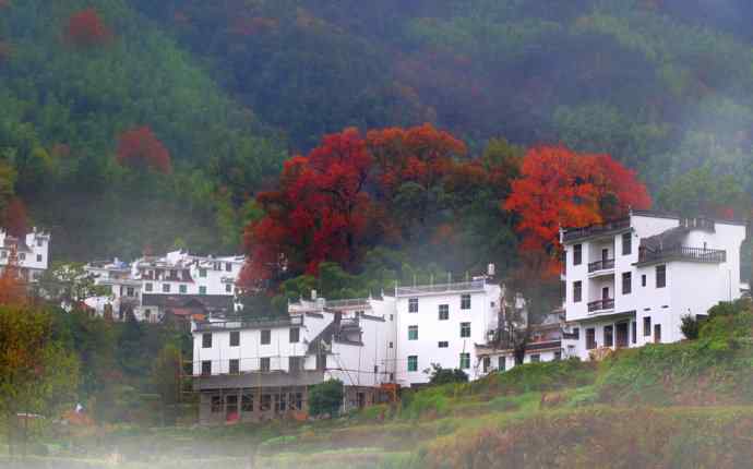 初冬婺源一日印象