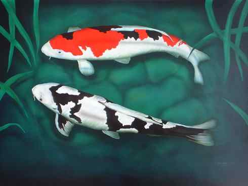 龙:传说的兽原型探秘(鲤鱼) 龙:传说的兽原型探秘(鲤鱼)