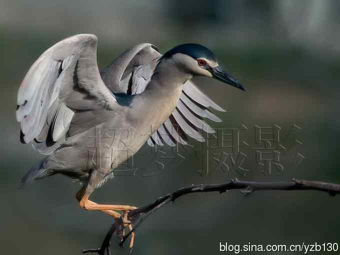 聆听超萌鈥溞∫光澢ㄗ橥迹24张图片）