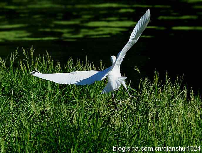 清仓晒鸟儿 清仓晒鸟儿