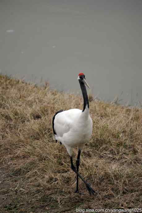 晚秋寻美 wbr wbr3