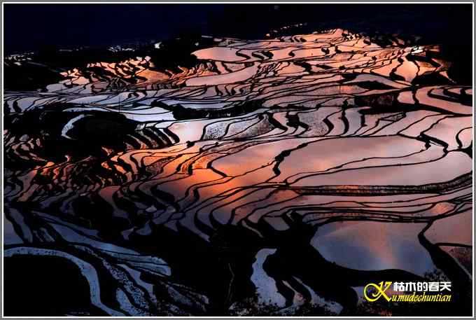 如梦的元阳梯田【照片】