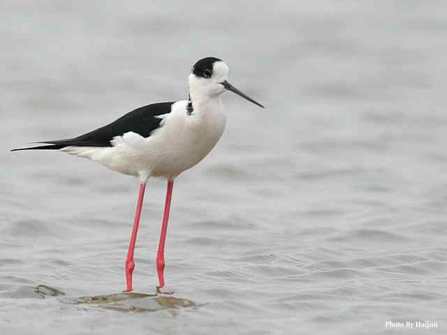 我憧憬那湾碧水 wbr. wbr我流连那片土地