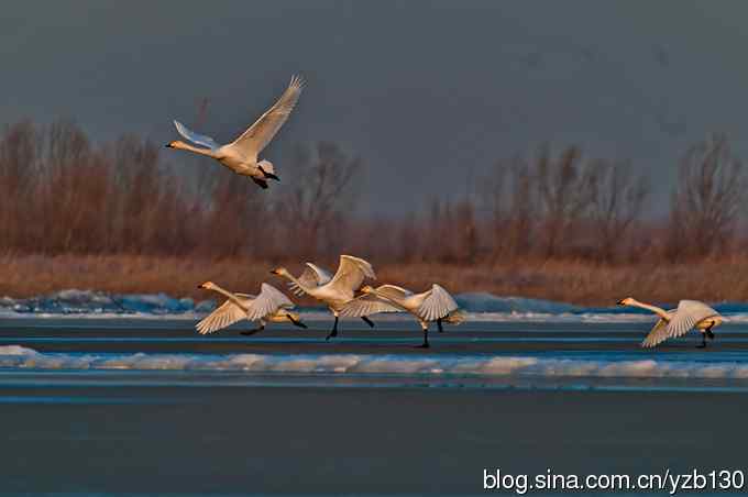 今日野鸭湖鈥斺敶筇於欤ㄗ橥迹20张图片）