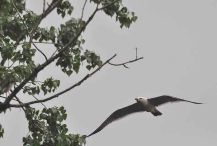 20100505当日总结 20100505当日总结