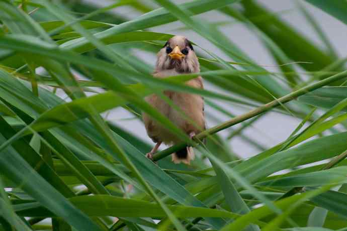 萌态可掬的鈥溦鸬┬∪糕☆★