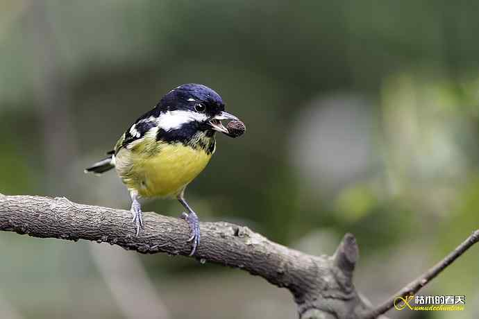 鈥溁聘股饺糕澊⒘腹