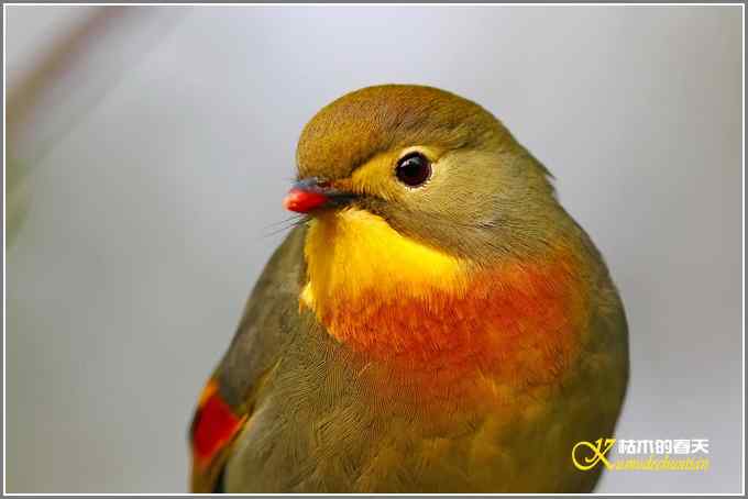 神马都是浮云，健康、快乐才最给力——我的2010